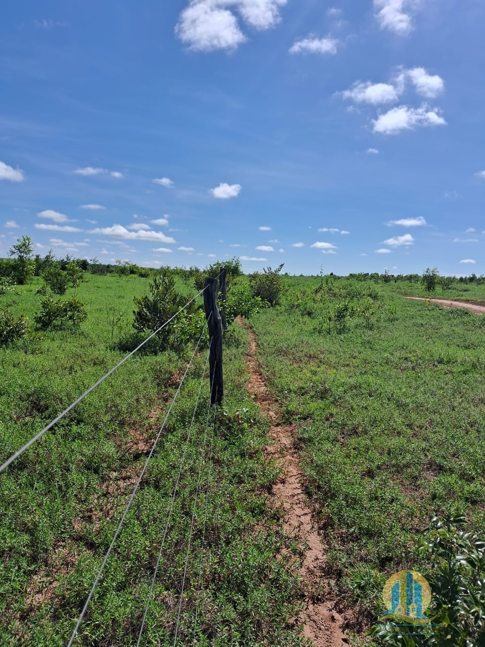 Fazenda em Cáceres/Mato Grosso — Ref F86TZR — Imagem 20