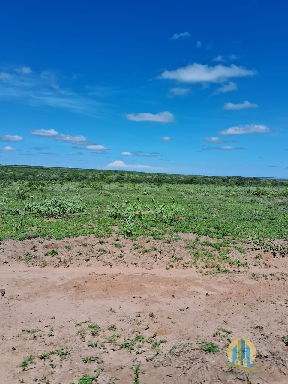 Fazenda em Cáceres/Mato Grosso — Ref F86TZR — Imagem 14