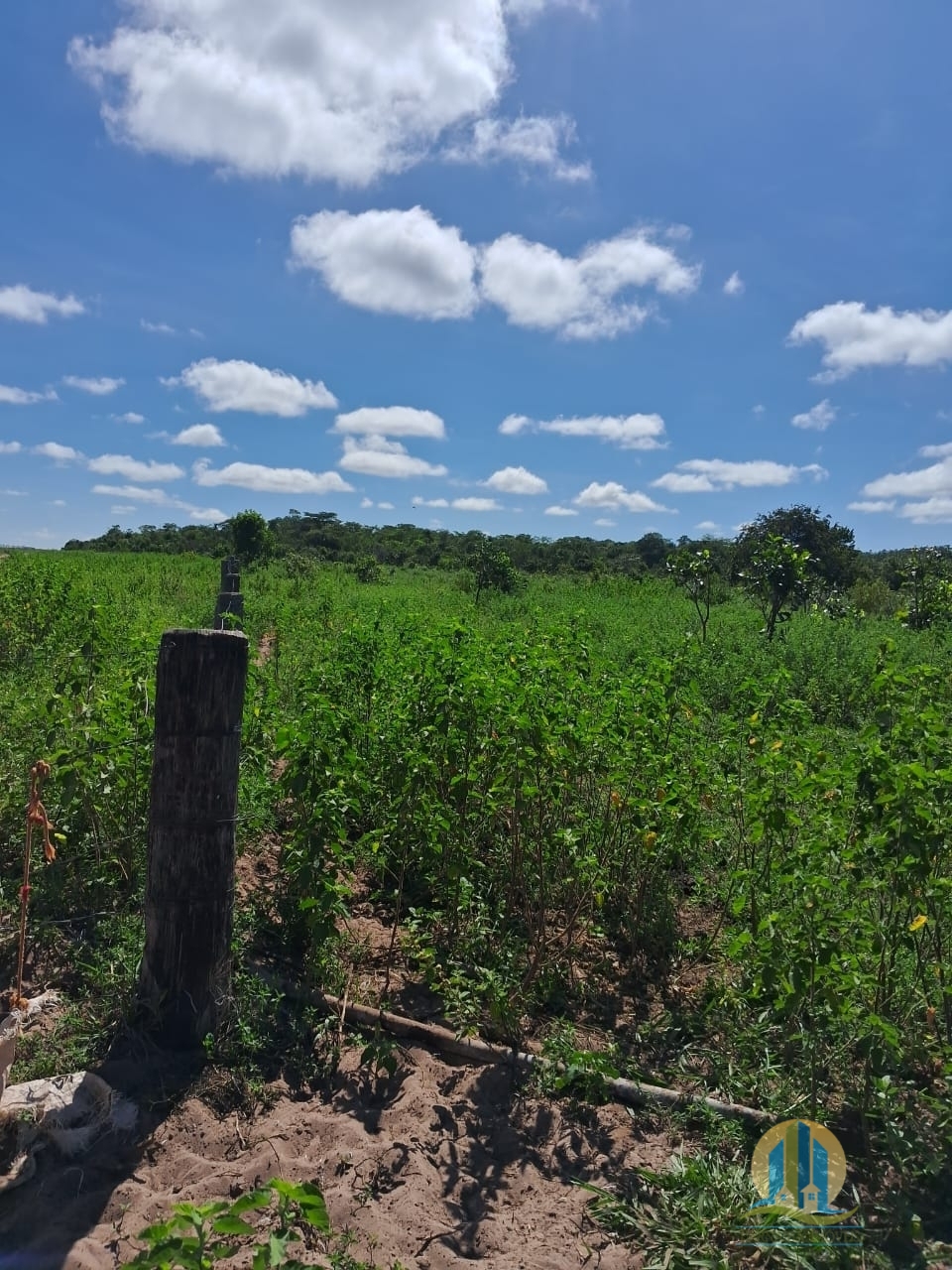 Fazenda em Cáceres/Mato Grosso — Ref F86TZR — Imagem 30