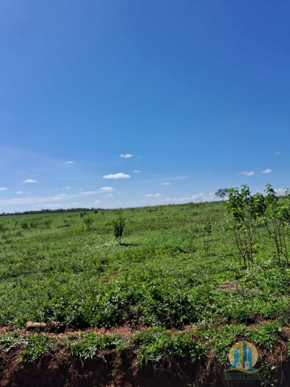 Fazenda em Cáceres/Mato Grosso — Ref F86TZR — Imagem 3
