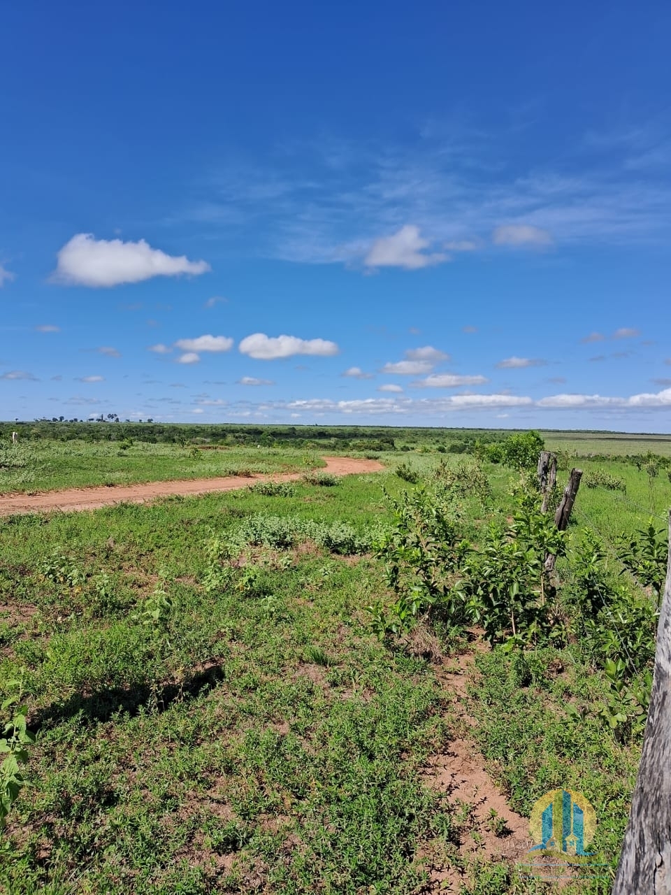 Fazenda em Cáceres/Mato Grosso — Ref F86TZR — Imagem 11