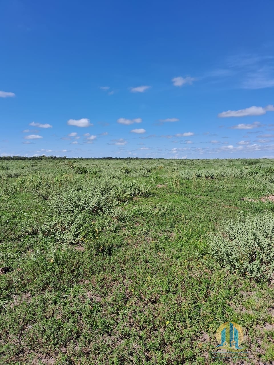 Fazenda em Cáceres/Mato Grosso — Ref F86TZR — Imagem 18