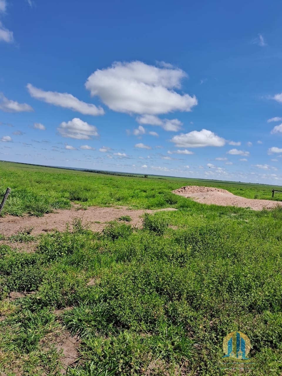 Fazenda em Cáceres/Mato Grosso — Ref F86TZR — Imagem 31