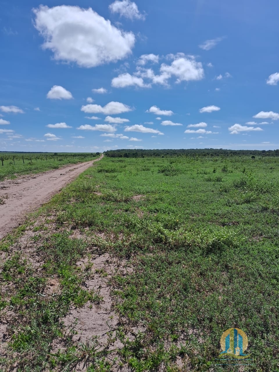 Fazenda em Cáceres/Mato Grosso — Ref F86TZR — Imagem 19