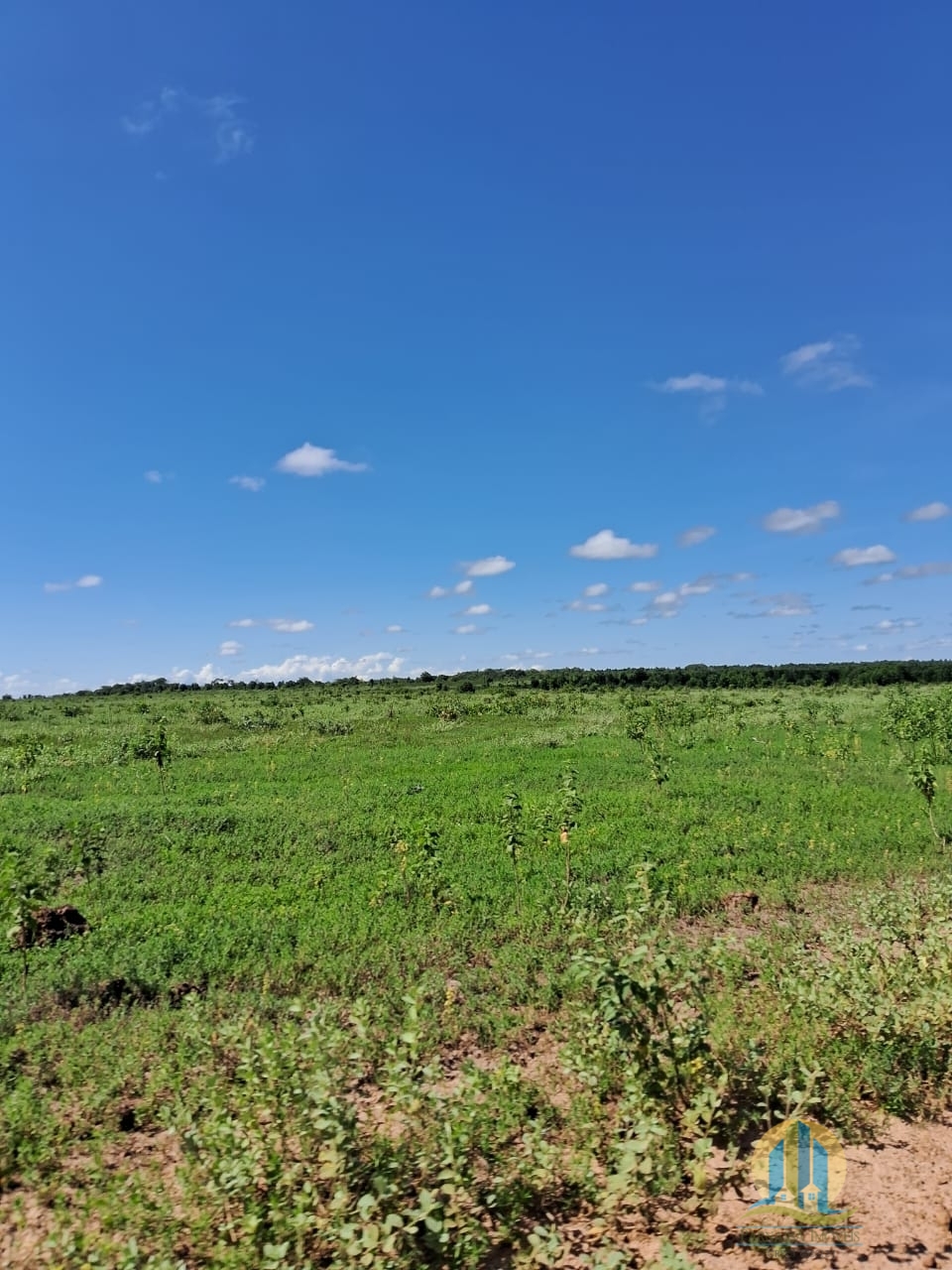 Fazenda em Cáceres/Mato Grosso — Ref F86TZR — Imagem 9
