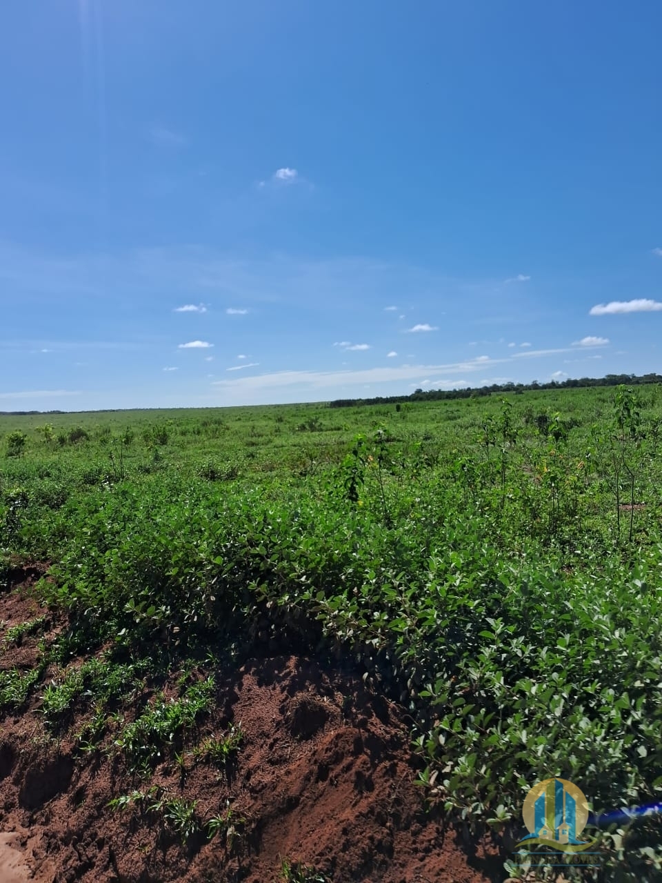 Fazenda em Cáceres/Mato Grosso — Ref F86TZR — Imagem 5