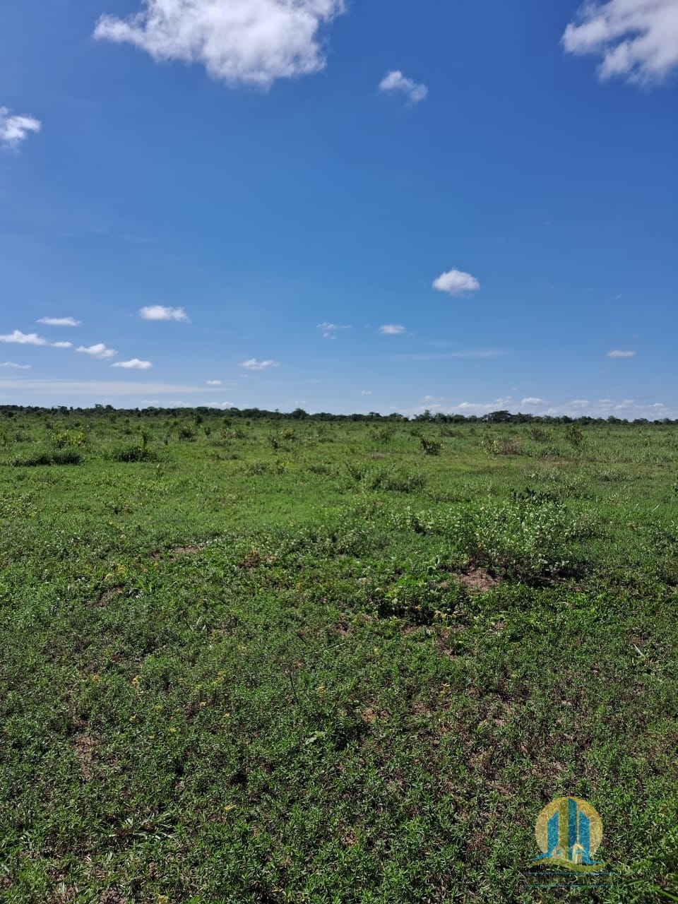 Fazenda em Cáceres/Mato Grosso — Ref F86TZR — Imagem 17