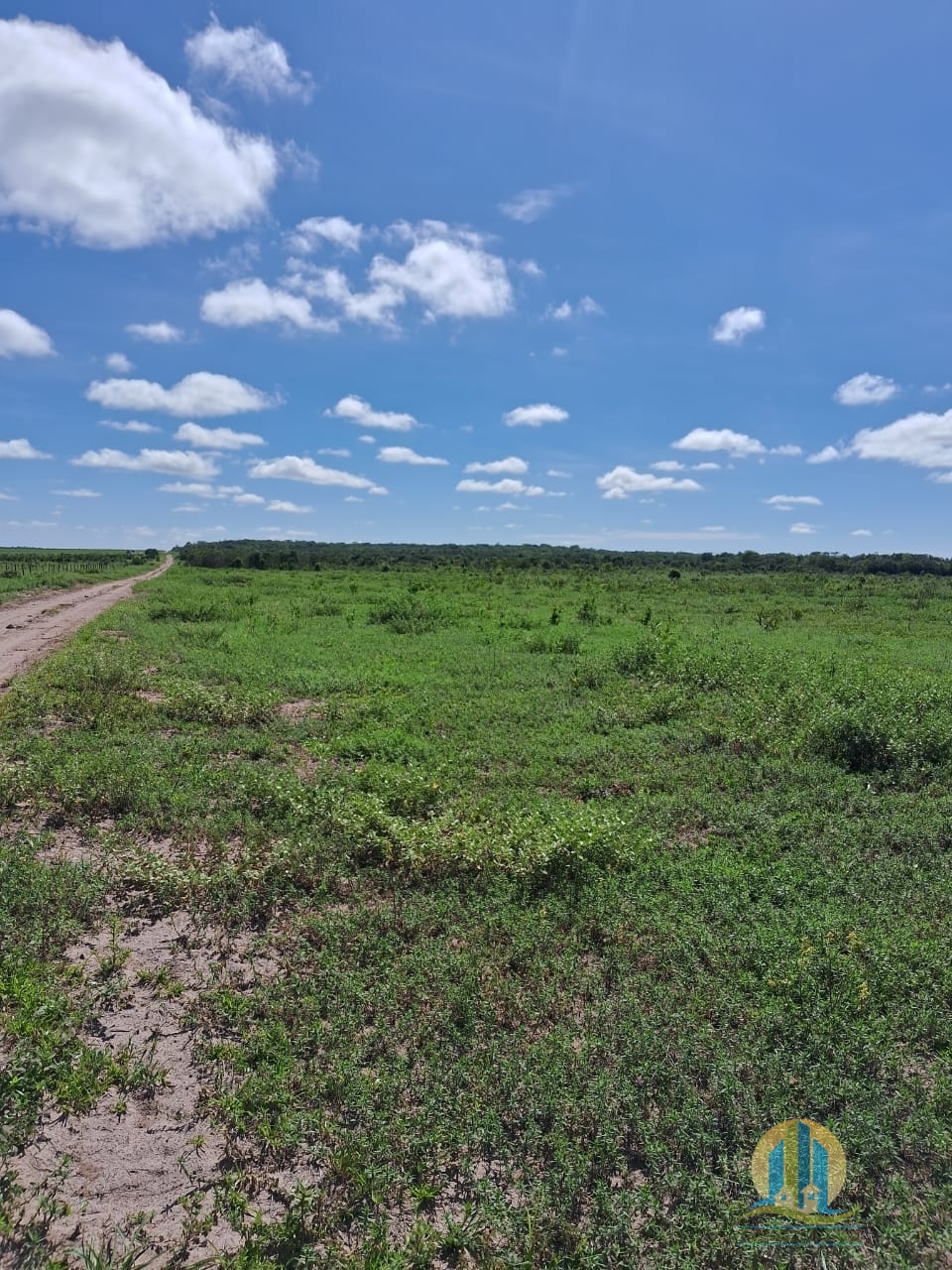 Fazenda em Cáceres/Mato Grosso — Ref F86TZR — Imagem 16