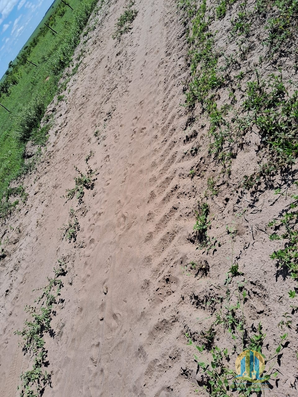 Fazenda em Cáceres/Mato Grosso — Ref F86TZR — Imagem 38