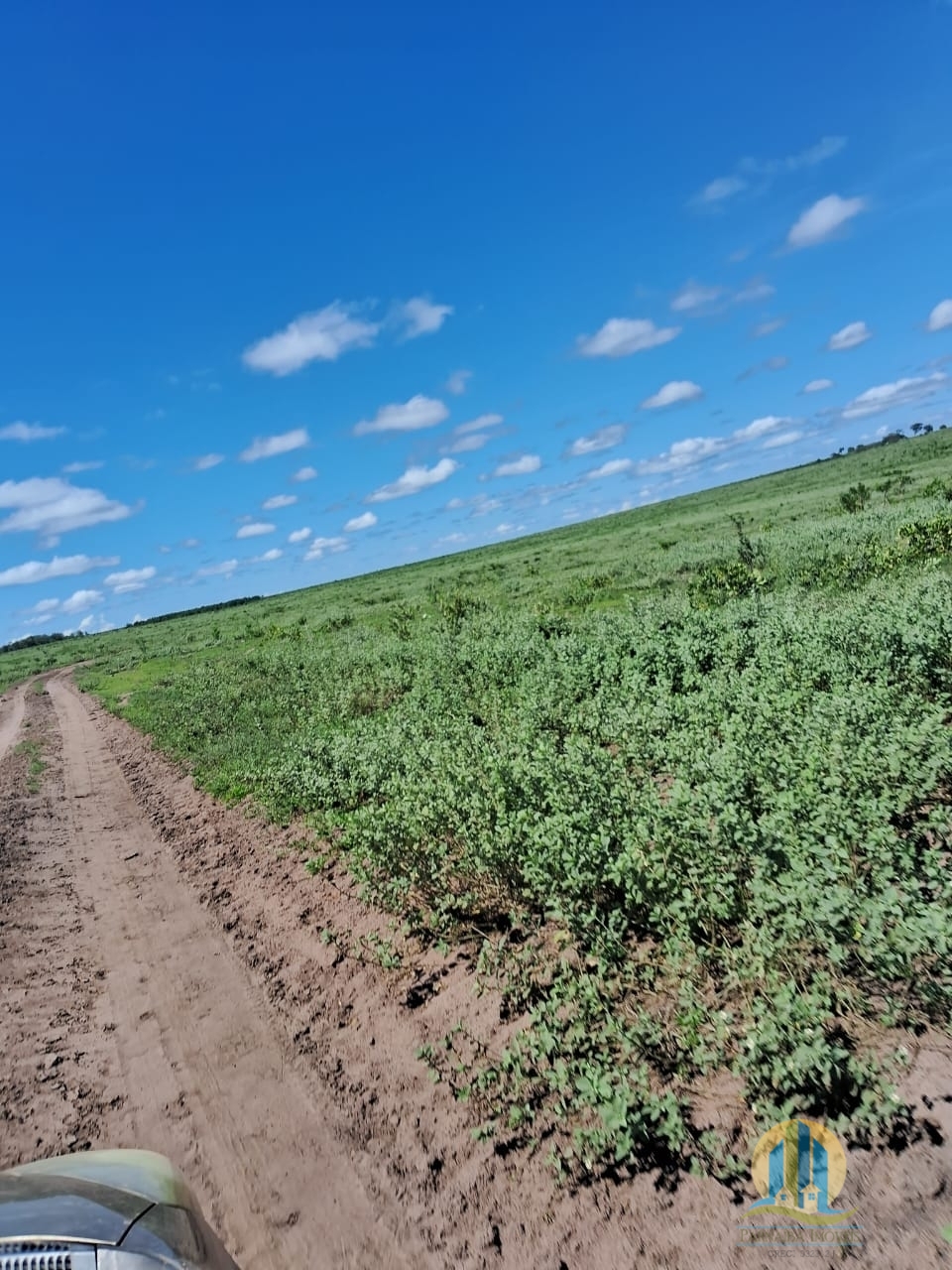 Fazenda em Cáceres/Mato Grosso — Ref F86TZR — Imagem 28