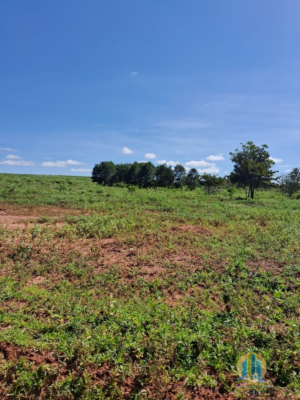 Fazenda em Cáceres/Mato Grosso — Ref F86TZR — Imagem 6
