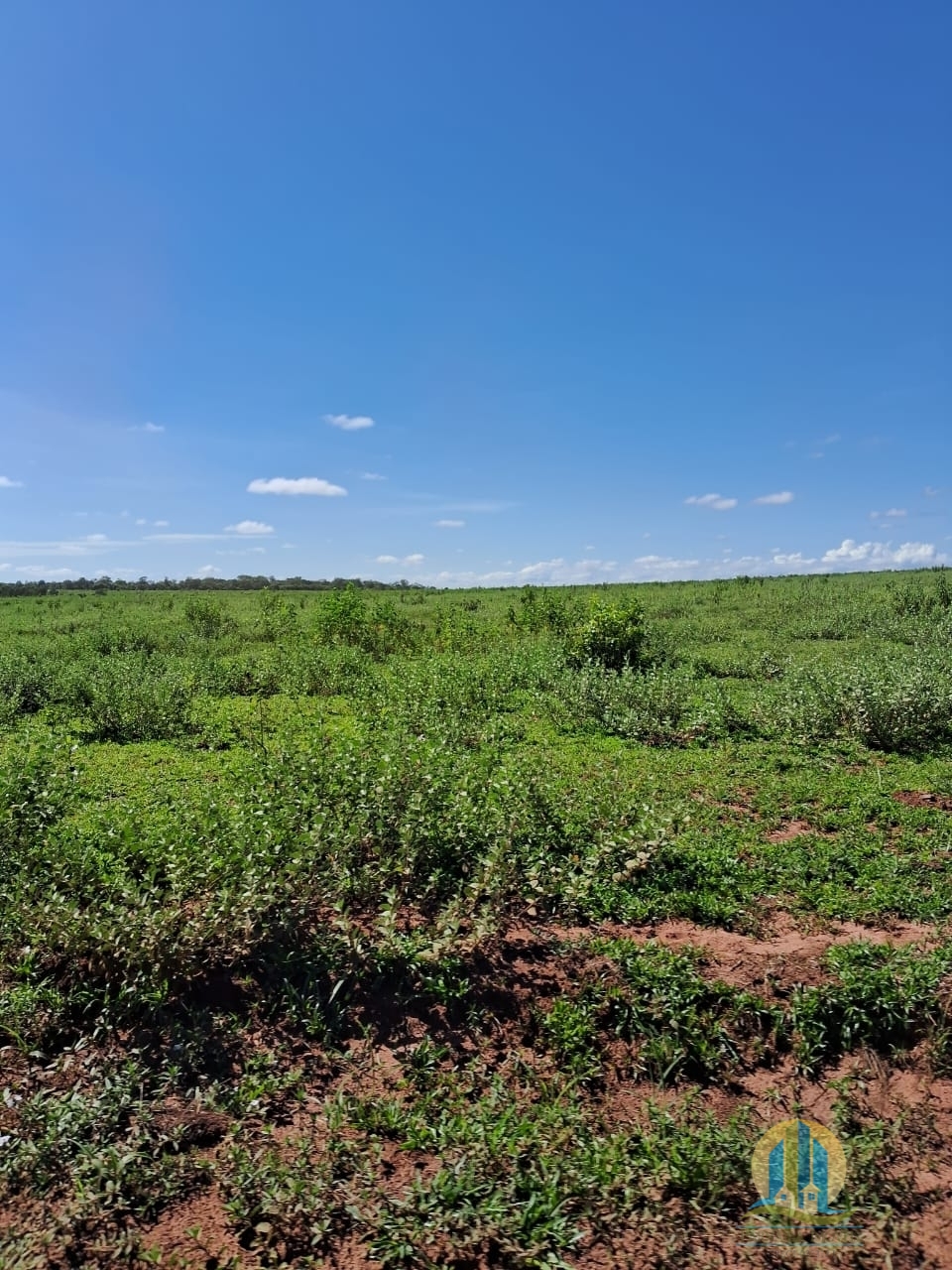 Fazenda em Cáceres/Mato Grosso — Ref F86TZR — Imagem 4