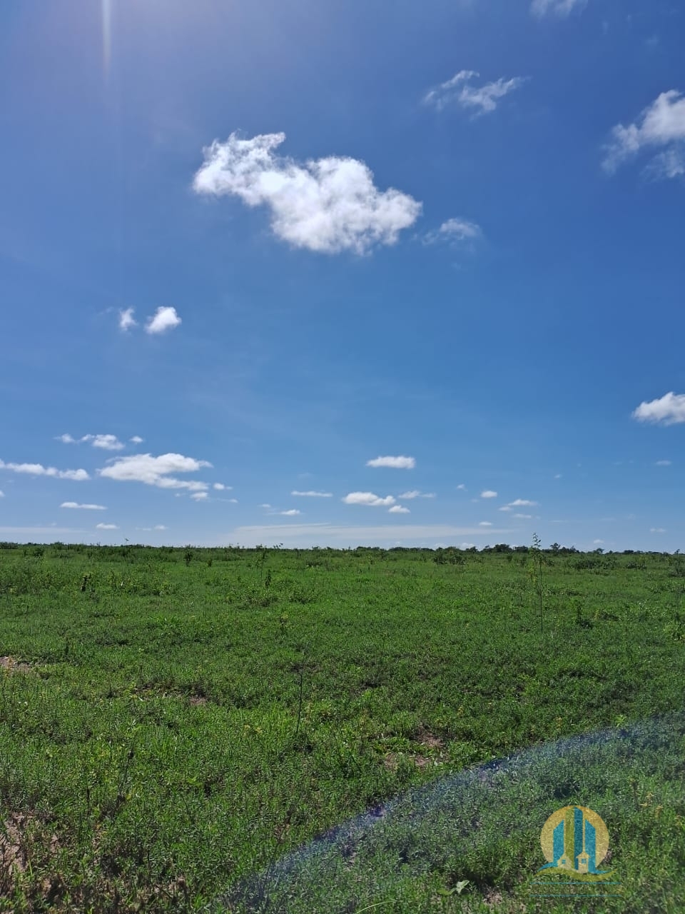 Fazenda em Cáceres/Mato Grosso — Ref F86TZR — Imagem 10