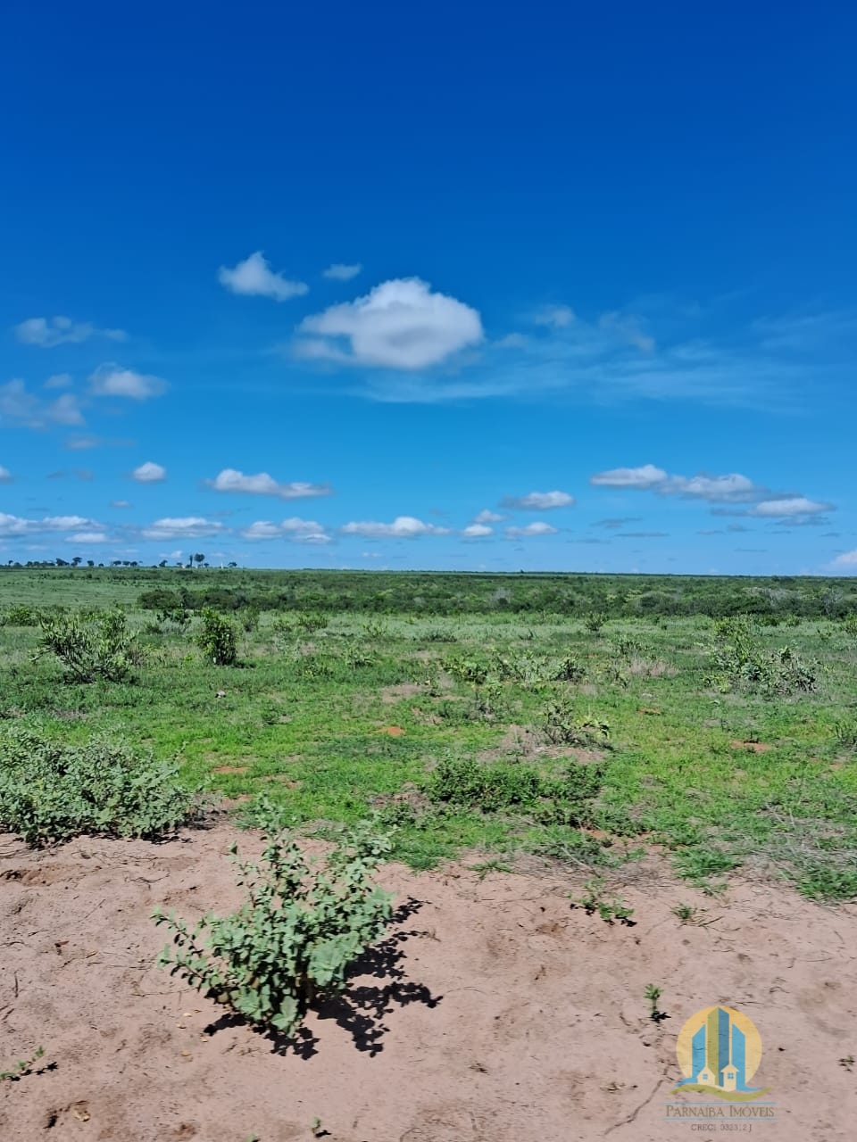 Fazenda em Cáceres/Mato Grosso — Ref F86TZR — Imagem 13