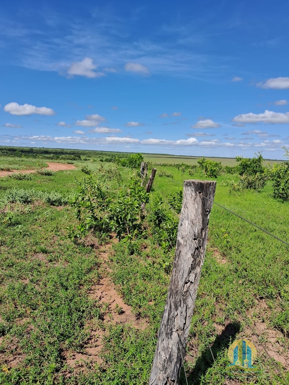 Fazenda em Cáceres/Mato Grosso — Ref F86TZR — Imagem 12