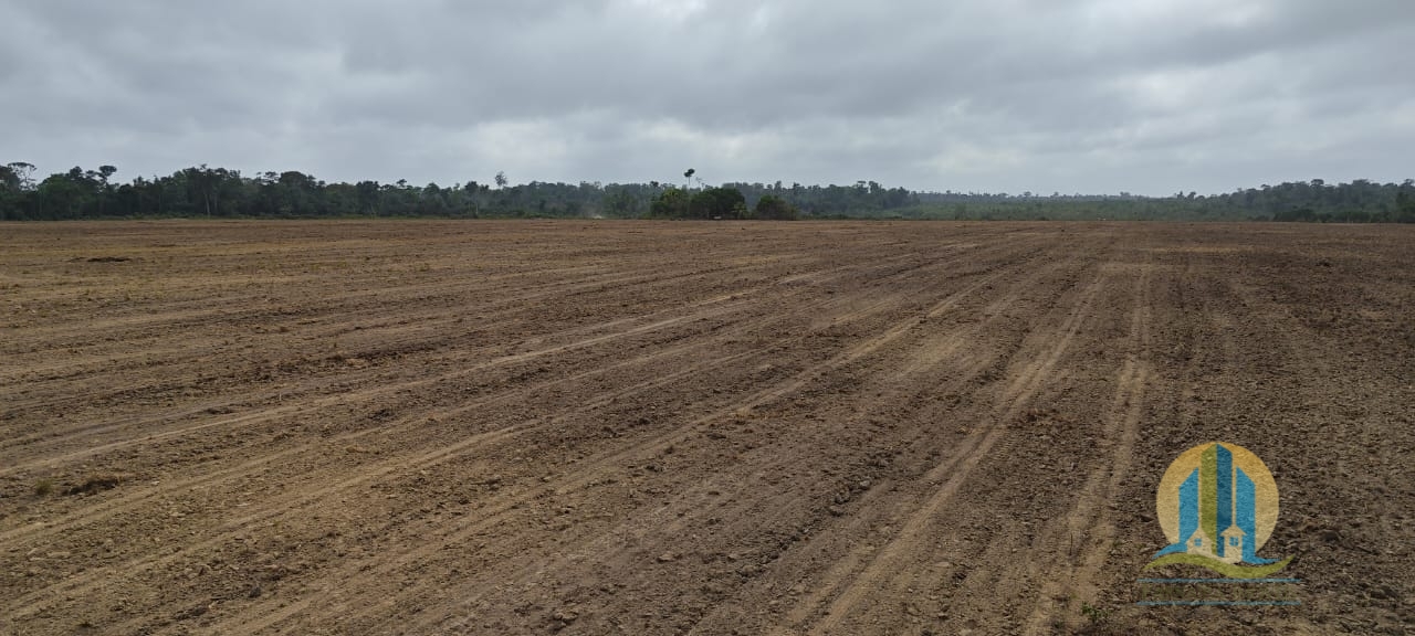Fazenda em Ulianópolis/Pará — Ref V6LR52 — Imagem 4