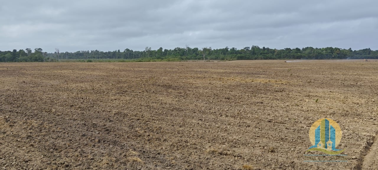 Fazenda em Ulianópolis/Pará — Ref V6LR52 — Imagem 5