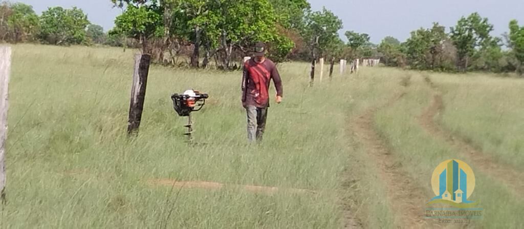 Fazenda em Luciara/Mato Grosso — Ref 1L910X — Imagem 7