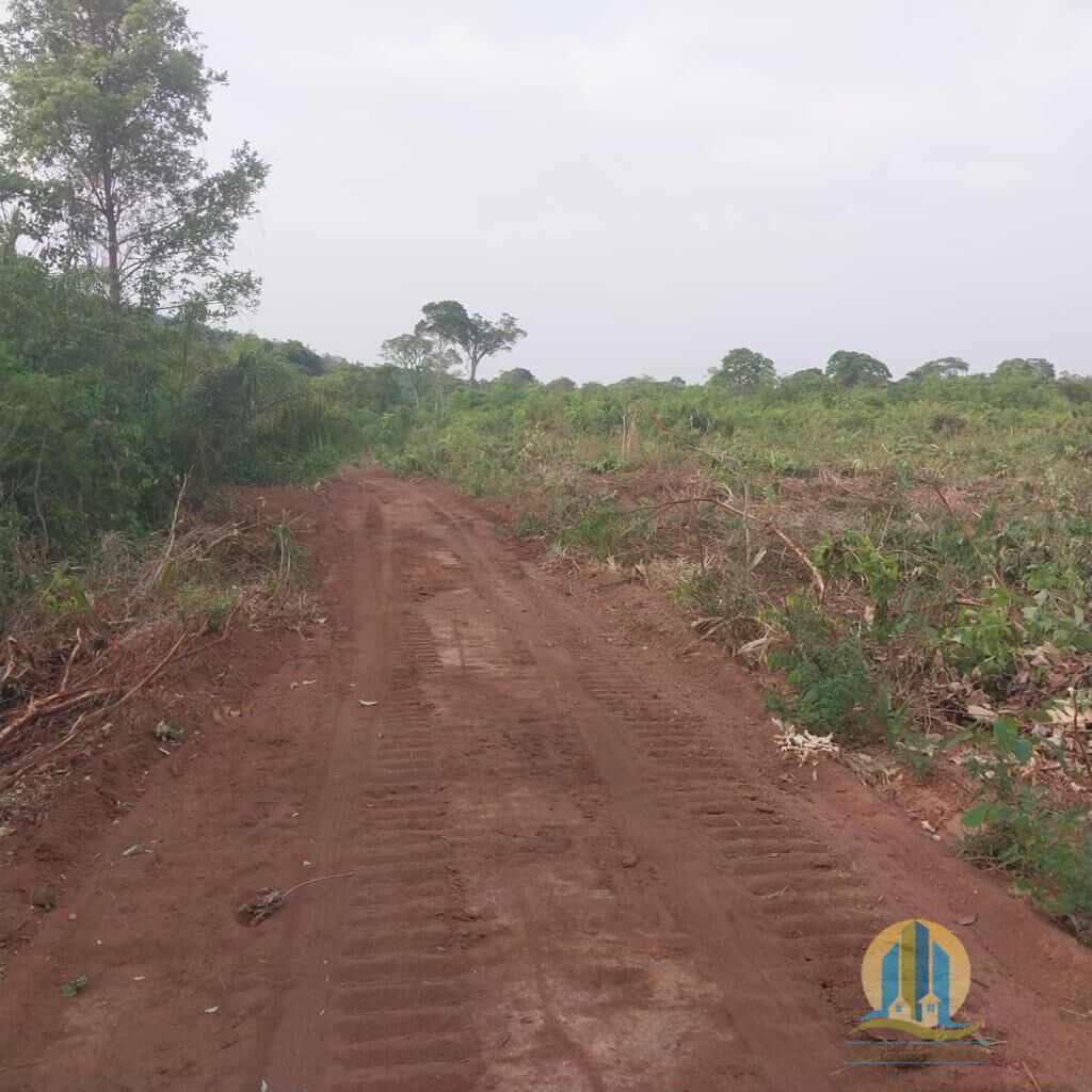 Fazenda em Luciara/Mato Grosso — Ref 1L910X — Imagem 6