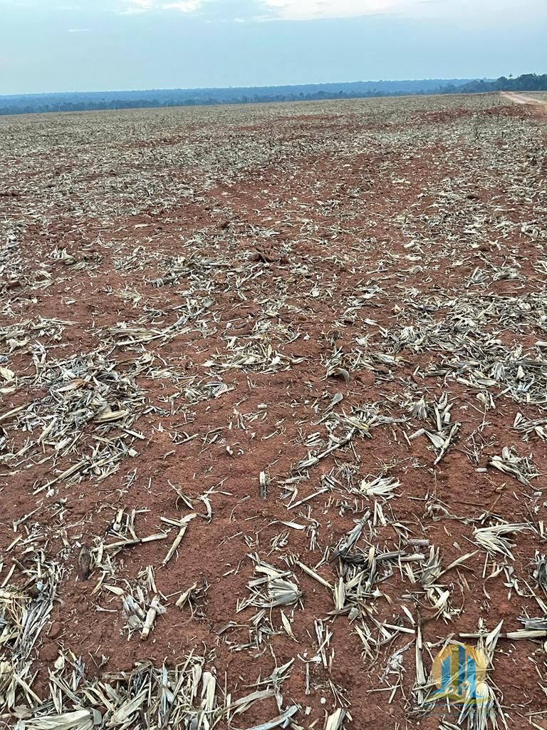 Fazenda em Ipiranga do Norte/Mato Grosso — Ref SW3000 — Imagem 6