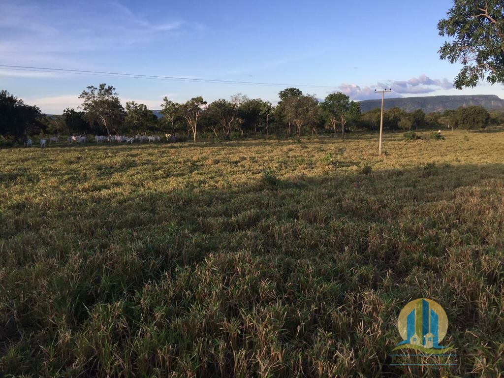 Fazenda em Miracema do Tocantins/Tocantins — Ref Q9MT4R — Imagem 5