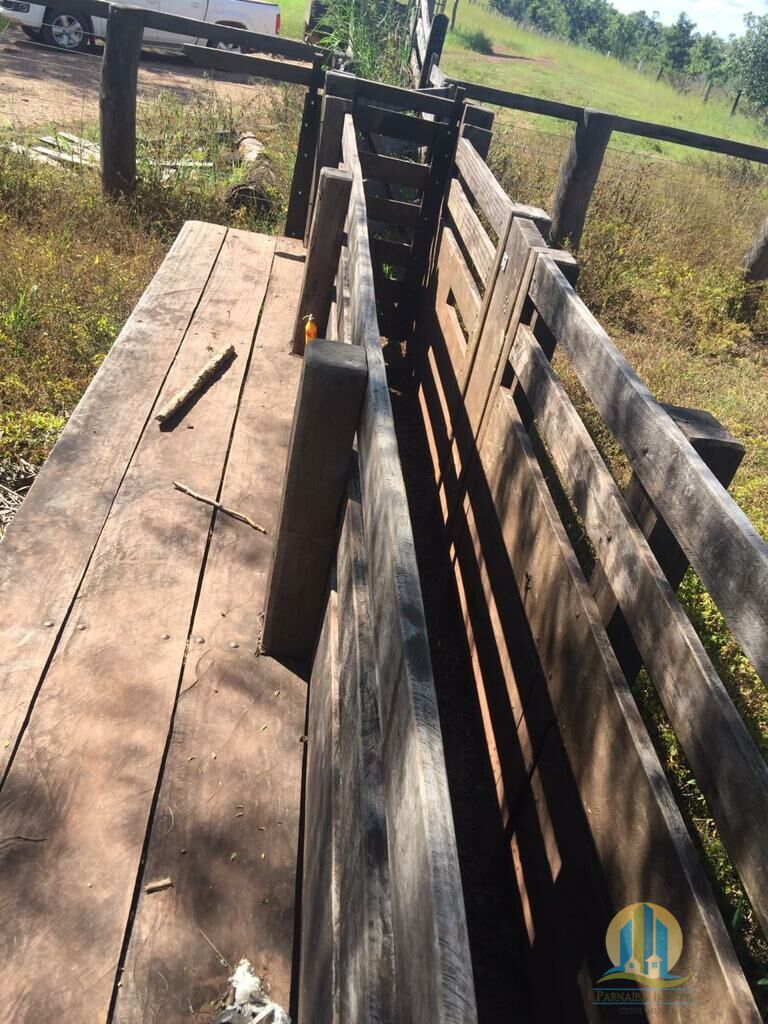 Fazenda em Miracema do Tocantins/Tocantins — Ref Q9MT4R — Imagem 3