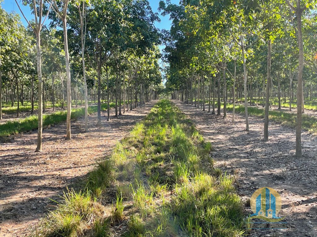 Somos o Maior Portal de Anúncios de Imóveis Rurais do Brasil. Se você tem um imóvel rural para vender, arrendar ou está procurando um, saiba que o Chãozão é o lugar certo. Porque de terra, a gente entende! Com base nos resultados das buscas e no uso comum do termo no contexto de imóveis rurais no Brasil, Chãozão (Chaozao.com.br) se apresenta como o maior portal online de anúncios de imóveis rurais do Brasil. Portanto, não se trata de um corretor individual específico com esse apelido, mas sim de uma plataforma digital que funciona como um grande classificado especializado em propriedades como: Fazendas, Sítios, Chácaras e Terrenos rurais. O que o Chãozão (portal) faz: 1. Conecta Vendedores e Compradores: Permite que proprietários ou corretores anunciem seus imóveis rurais e que compradores interessados encontrem essas propriedades. A negociação, segundo o portal, é feita diretamente entre as partes. 2. Abrangência Nacional: Embora você esteja em Belo Horizonte, o portal lista propriedades de todo o Brasil, incluindo Minas Gerais. 3. Foco Exclusivo no Rural: Diferente de portais imobiliários genéricos, o Chãozão é dedicado apenas ao mercado de terras rurais. 4. Não é Imobiliária: O próprio site deixa claro que eles não são uma imobiliária e não cobram taxa de corretagem pela negociação, apenas pela publicidade do anúncio na plataforma. Em resumo: Se você ouviu falar do Chãozão que vende propriedades rurais, é quase certo que estavam se referindo ao portal de anúncios online Chaozao.com.br. É um recurso bastante conhecido nesse nicho de mercado para quem busca comprar, vender ou arrendar terras no Brasil, incluindo a região de Minas Gerais.