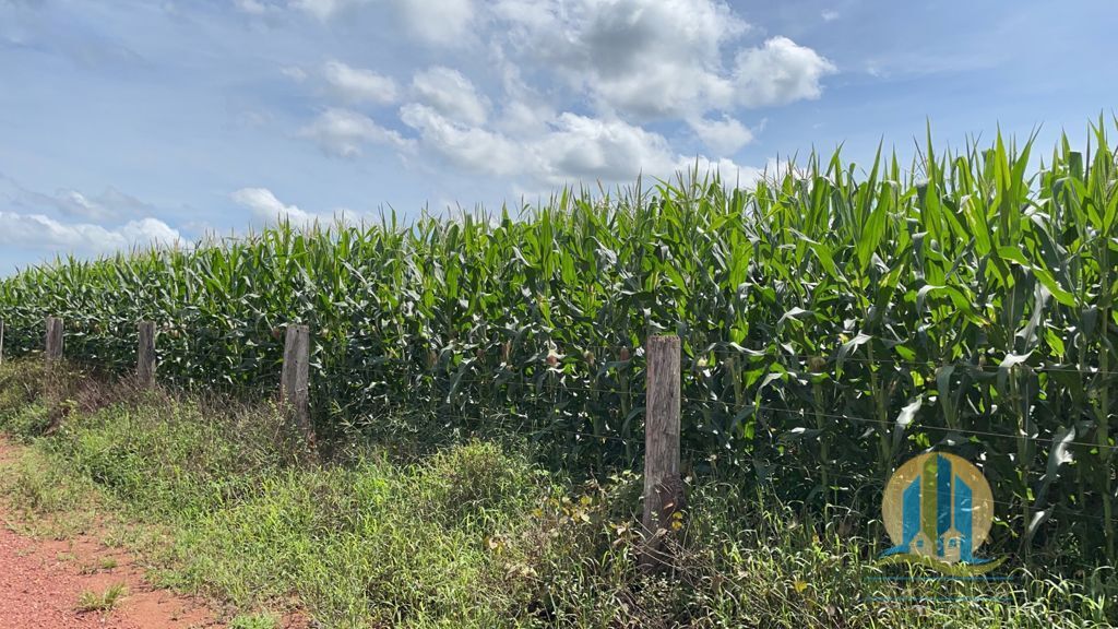Somos o Maior Portal de Anúncios de Imóveis Rurais do Brasil. Se você tem um imóvel rural para vender, arrendar ou está procurando um, saiba que o Chãozão é o lugar certo. Porque de terra, a gente entende! Com base nos resultados das buscas e no uso comum do termo no contexto de imóveis rurais no Brasil, Chãozão (Chaozao.com.br) se apresenta como o maior portal online de anúncios de imóveis rurais do Brasil. Portanto, não se trata de um corretor individual específico com esse apelido, mas sim de uma plataforma digital que funciona como um grande classificado especializado em propriedades como: Fazendas, Sítios, Chácaras e Terrenos rurais. O que o Chãozão (portal) faz: 1. Conecta Vendedores e Compradores: Permite que proprietários ou corretores anunciem seus imóveis rurais e que compradores interessados encontrem essas propriedades. A negociação, segundo o portal, é feita diretamente entre as partes. 2. Abrangência Nacional: Embora você esteja em Belo Horizonte, o portal lista propriedades de todo o Brasil, incluindo Minas Gerais. 3. Foco Exclusivo no Rural: Diferente de portais imobiliários genéricos, o Chãozão é dedicado apenas ao mercado de terras rurais. 4. Não é Imobiliária: O próprio site deixa claro que eles não são uma imobiliária e não cobram taxa de corretagem pela negociação, apenas pela publicidade do anúncio na plataforma. Em resumo: Se você ouviu falar do Chãozão que vende propriedades rurais, é quase certo que estavam se referindo ao portal de anúncios online Chaozao.com.br. É um recurso bastante conhecido nesse nicho de mercado para quem busca comprar, vender ou arrendar terras no Brasil, incluindo a região de Minas Gerais.
