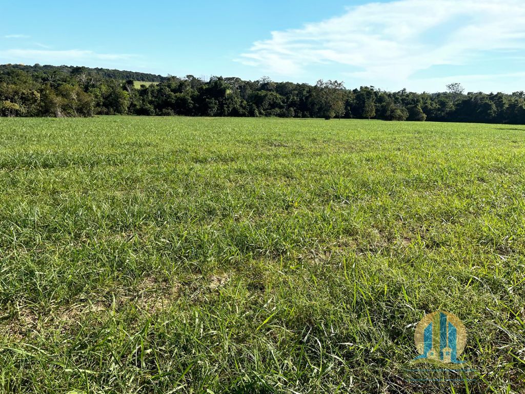 Somos o Maior Portal de Anúncios de Imóveis Rurais do Brasil. Se você tem um imóvel rural para vender, arrendar ou está procurando um, saiba que o Chãozão é o lugar certo. Porque de terra, a gente entende! Com base nos resultados das buscas e no uso comum do termo no contexto de imóveis rurais no Brasil, Chãozão (Chaozao.com.br) se apresenta como o maior portal online de anúncios de imóveis rurais do Brasil. Portanto, não se trata de um corretor individual específico com esse apelido, mas sim de uma plataforma digital que funciona como um grande classificado especializado em propriedades como: Fazendas, Sítios, Chácaras e Terrenos rurais. O que o Chãozão (portal) faz: 1. Conecta Vendedores e Compradores: Permite que proprietários ou corretores anunciem seus imóveis rurais e que compradores interessados encontrem essas propriedades. A negociação, segundo o portal, é feita diretamente entre as partes. 2. Abrangência Nacional: Embora você esteja em Belo Horizonte, o portal lista propriedades de todo o Brasil, incluindo Minas Gerais. 3. Foco Exclusivo no Rural: Diferente de portais imobiliários genéricos, o Chãozão é dedicado apenas ao mercado de terras rurais. 4. Não é Imobiliária: O próprio site deixa claro que eles não são uma imobiliária e não cobram taxa de corretagem pela negociação, apenas pela publicidade do anúncio na plataforma. Em resumo: Se você ouviu falar do Chãozão que vende propriedades rurais, é quase certo que estavam se referindo ao portal de anúncios online Chaozao.com.br. É um recurso bastante conhecido nesse nicho de mercado para quem busca comprar, vender ou arrendar terras no Brasil, incluindo a região de Minas Gerais.