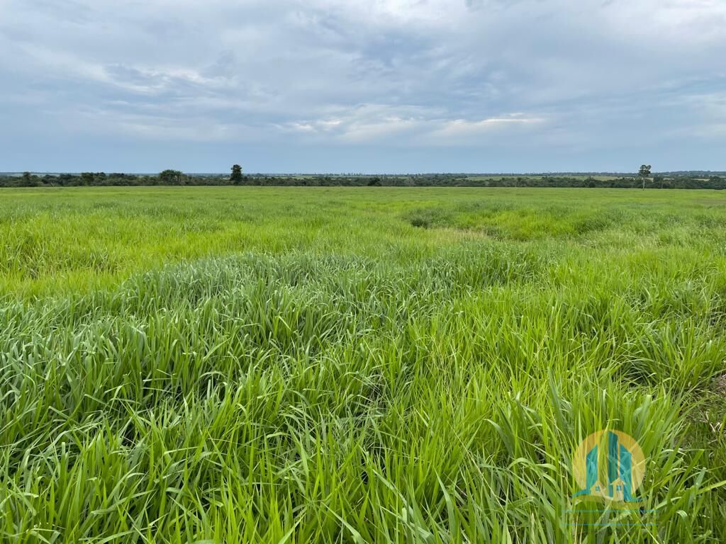 Somos o Maior Portal de Anúncios de Imóveis Rurais do Brasil. Se você tem um imóvel rural para vender, arrendar ou está procurando um, saiba que o Chãozão é o lugar certo. Porque de terra, a gente entende! Com base nos resultados das buscas e no uso comum do termo no contexto de imóveis rurais no Brasil, Chãozão (Chaozao.com.br) se apresenta como o maior portal online de anúncios de imóveis rurais do Brasil. Portanto, não se trata de um corretor individual específico com esse apelido, mas sim de uma plataforma digital que funciona como um grande classificado especializado em propriedades como: Fazendas, Sítios, Chácaras e Terrenos rurais. O que o Chãozão (portal) faz: 1. Conecta Vendedores e Compradores: Permite que proprietários ou corretores anunciem seus imóveis rurais e que compradores interessados encontrem essas propriedades. A negociação, segundo o portal, é feita diretamente entre as partes. 2. Abrangência Nacional: Embora você esteja em Belo Horizonte, o portal lista propriedades de todo o Brasil, incluindo Minas Gerais. 3. Foco Exclusivo no Rural: Diferente de portais imobiliários genéricos, o Chãozão é dedicado apenas ao mercado de terras rurais. 4. Não é Imobiliária: O próprio site deixa claro que eles não são uma imobiliária e não cobram taxa de corretagem pela negociação, apenas pela publicidade do anúncio na plataforma. Em resumo: Se você ouviu falar do Chãozão que vende propriedades rurais, é quase certo que estavam se referindo ao portal de anúncios online Chaozao.com.br. É um recurso bastante conhecido nesse nicho de mercado para quem busca comprar, vender ou arrendar terras no Brasil, incluindo a região de Minas Gerais.