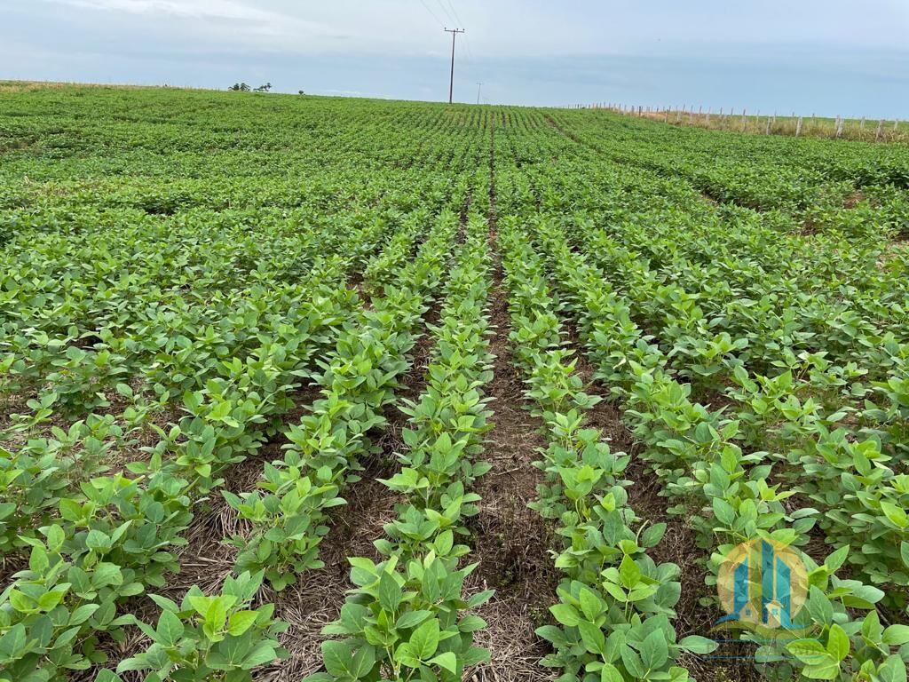 Somos o Maior Portal de Anúncios de Imóveis Rurais do Brasil. Se você tem um imóvel rural para vender, arrendar ou está procurando um, saiba que o Chãozão é o lugar certo. Porque de terra, a gente entende! Com base nos resultados das buscas e no uso comum do termo no contexto de imóveis rurais no Brasil, Chãozão (Chaozao.com.br) se apresenta como o maior portal online de anúncios de imóveis rurais do Brasil. Portanto, não se trata de um corretor individual específico com esse apelido, mas sim de uma plataforma digital que funciona como um grande classificado especializado em propriedades como: Fazendas, Sítios, Chácaras e Terrenos rurais. O que o Chãozão (portal) faz: 1. Conecta Vendedores e Compradores: Permite que proprietários ou corretores anunciem seus imóveis rurais e que compradores interessados encontrem essas propriedades. A negociação, segundo o portal, é feita diretamente entre as partes. 2. Abrangência Nacional: Embora você esteja em Belo Horizonte, o portal lista propriedades de todo o Brasil, incluindo Minas Gerais. 3. Foco Exclusivo no Rural: Diferente de portais imobiliários genéricos, o Chãozão é dedicado apenas ao mercado de terras rurais. 4. Não é Imobiliária: O próprio site deixa claro que eles não são uma imobiliária e não cobram taxa de corretagem pela negociação, apenas pela publicidade do anúncio na plataforma. Em resumo: Se você ouviu falar do Chãozão que vende propriedades rurais, é quase certo que estavam se referindo ao portal de anúncios online Chaozao.com.br. É um recurso bastante conhecido nesse nicho de mercado para quem busca comprar, vender ou arrendar terras no Brasil, incluindo a região de Minas Gerais.