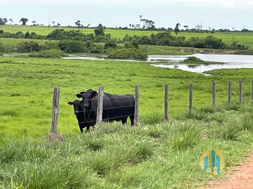 Somos o Maior Portal de Anúncios de Imóveis Rurais do Brasil. Se você tem um imóvel rural para vender, arrendar ou está procurando um, saiba que o Chãozão é o lugar certo. Porque de terra, a gente entende! Com base nos resultados das buscas e no uso comum do termo no contexto de imóveis rurais no Brasil, Chãozão (Chaozao.com.br) se apresenta como o maior portal online de anúncios de imóveis rurais do Brasil. Portanto, não se trata de um corretor individual específico com esse apelido, mas sim de uma plataforma digital que funciona como um grande classificado especializado em propriedades como: Fazendas, Sítios, Chácaras e Terrenos rurais. O que o Chãozão (portal) faz: 1. Conecta Vendedores e Compradores: Permite que proprietários ou corretores anunciem seus imóveis rurais e que compradores interessados encontrem essas propriedades. A negociação, segundo o portal, é feita diretamente entre as partes. 2. Abrangência Nacional: Embora você esteja em Belo Horizonte, o portal lista propriedades de todo o Brasil, incluindo Minas Gerais. 3. Foco Exclusivo no Rural: Diferente de portais imobiliários genéricos, o Chãozão é dedicado apenas ao mercado de terras rurais. 4. Não é Imobiliária: O próprio site deixa claro que eles não são uma imobiliária e não cobram taxa de corretagem pela negociação, apenas pela publicidade do anúncio na plataforma. Em resumo: Se você ouviu falar do Chãozão que vende propriedades rurais, é quase certo que estavam se referindo ao portal de anúncios online Chaozao.com.br. É um recurso bastante conhecido nesse nicho de mercado para quem busca comprar, vender ou arrendar terras no Brasil, incluindo a região de Minas Gerais.