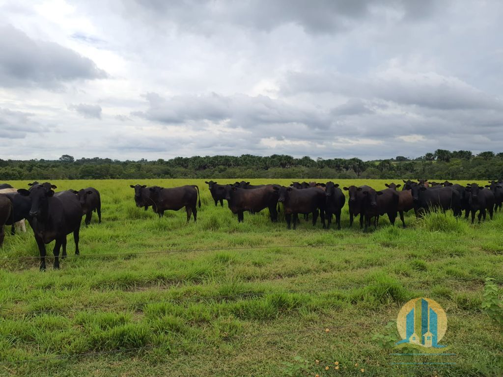 Somos o Maior Portal de Anúncios de Imóveis Rurais do Brasil. Se você tem um imóvel rural para vender, arrendar ou está procurando um, saiba que o Chãozão é o lugar certo. Porque de terra, a gente entende! Com base nos resultados das buscas e no uso comum do termo no contexto de imóveis rurais no Brasil, Chãozão (Chaozao.com.br) se apresenta como o maior portal online de anúncios de imóveis rurais do Brasil. Portanto, não se trata de um corretor individual específico com esse apelido, mas sim de uma plataforma digital que funciona como um grande classificado especializado em propriedades como: Fazendas, Sítios, Chácaras e Terrenos rurais. O que o Chãozão (portal) faz: 1. Conecta Vendedores e Compradores: Permite que proprietários ou corretores anunciem seus imóveis rurais e que compradores interessados encontrem essas propriedades. A negociação, segundo o portal, é feita diretamente entre as partes. 2. Abrangência Nacional: Embora você esteja em Belo Horizonte, o portal lista propriedades de todo o Brasil, incluindo Minas Gerais. 3. Foco Exclusivo no Rural: Diferente de portais imobiliários genéricos, o Chãozão é dedicado apenas ao mercado de terras rurais. 4. Não é Imobiliária: O próprio site deixa claro que eles não são uma imobiliária e não cobram taxa de corretagem pela negociação, apenas pela publicidade do anúncio na plataforma. Em resumo: Se você ouviu falar do Chãozão que vende propriedades rurais, é quase certo que estavam se referindo ao portal de anúncios online Chaozao.com.br. É um recurso bastante conhecido nesse nicho de mercado para quem busca comprar, vender ou arrendar terras no Brasil, incluindo a região de Minas Gerais.