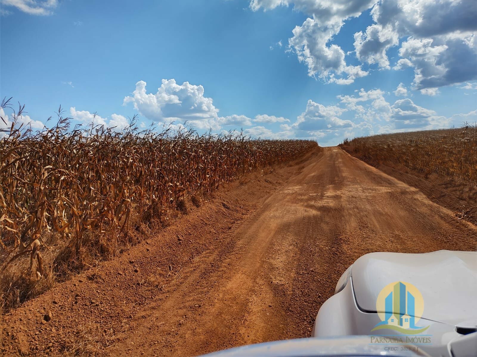 Fazenda em Araguacema/Tocantins — Ref 8ZC06Q — Imagem 19