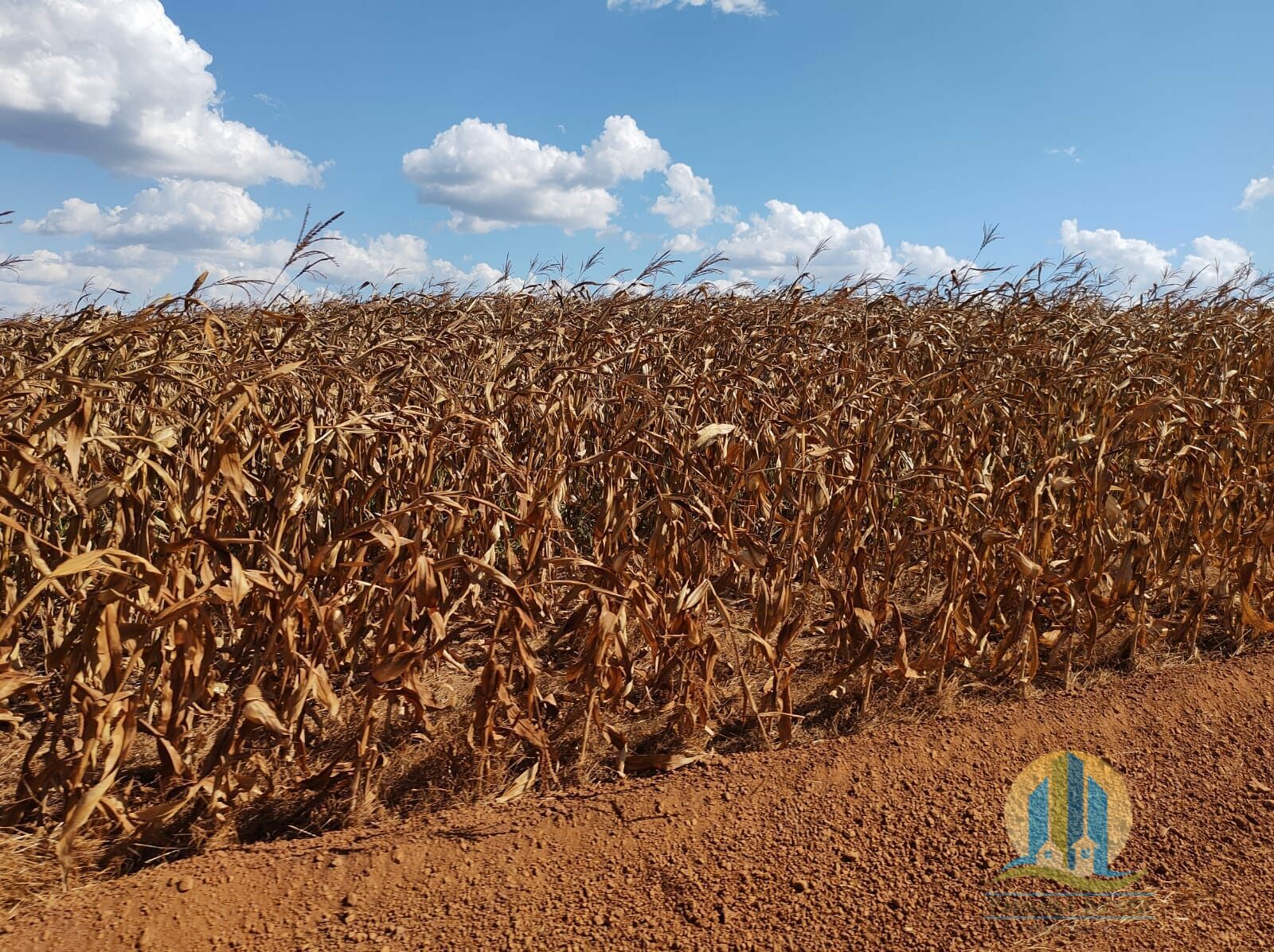 Fazenda em Araguacema/Tocantins — Ref 8ZC06Q — Imagem 18