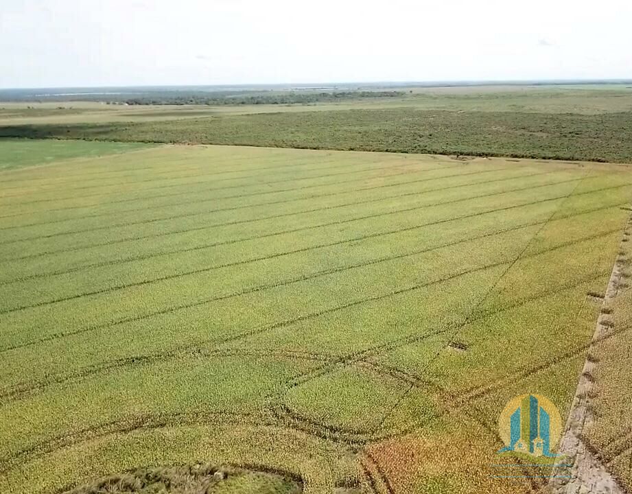 Fazenda em Araguacema/Tocantins — Ref 8ZC06Q — Imagem 9