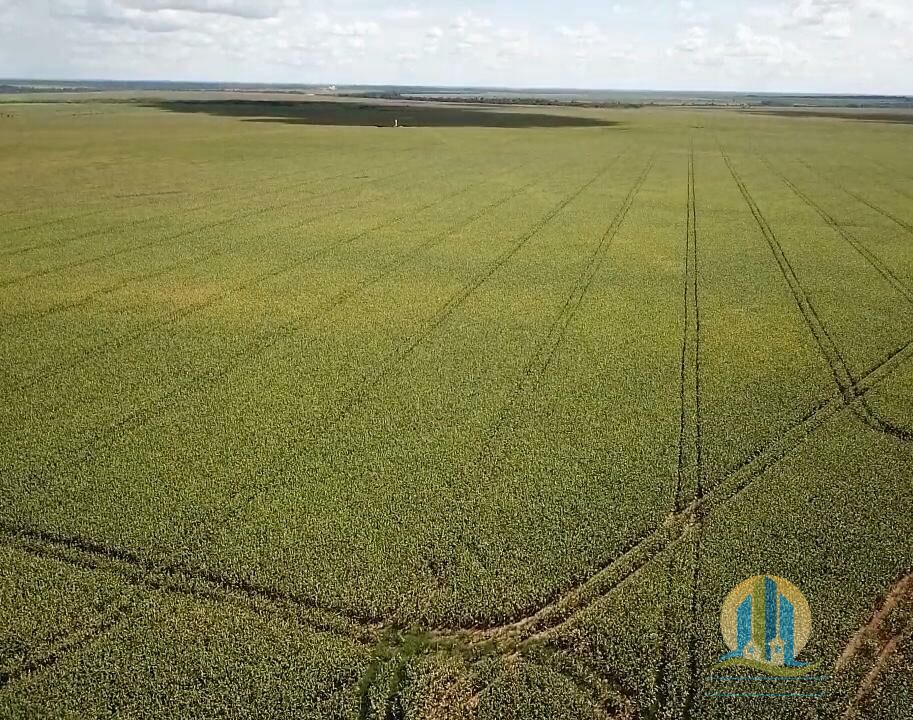 Fazenda em Araguacema/Tocantins — Ref 8ZC06Q — Imagem 10