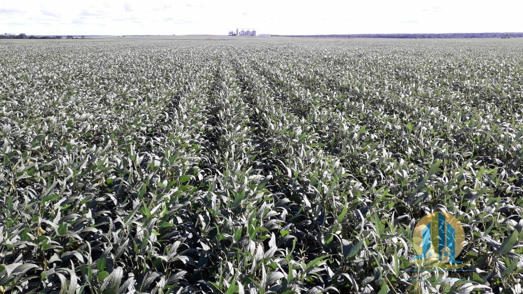 Fazenda em Araguacema/Tocantins — Ref 8ZC06Q — Imagem 16