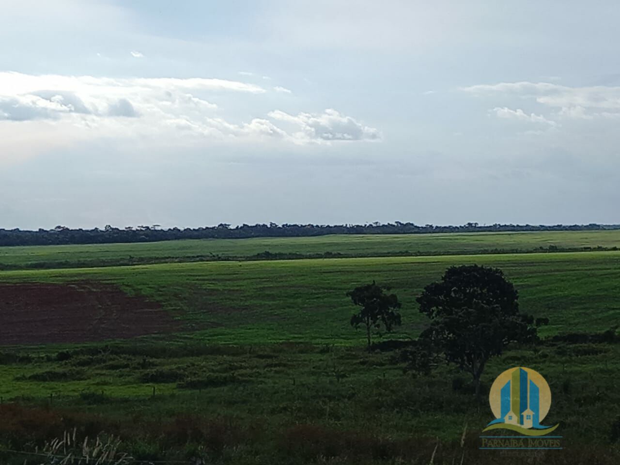 Fazenda em Araguacema/Tocantins — Ref 8ZC06Q — Imagem 14