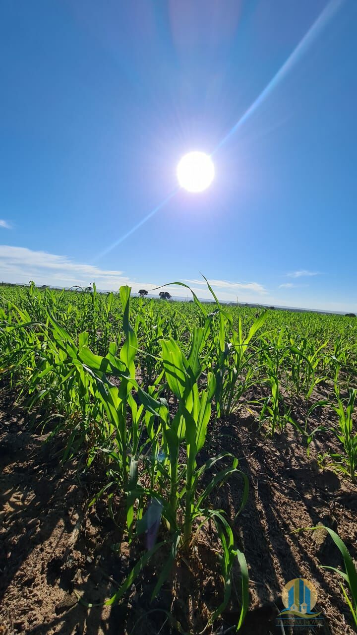 foto do anuncio