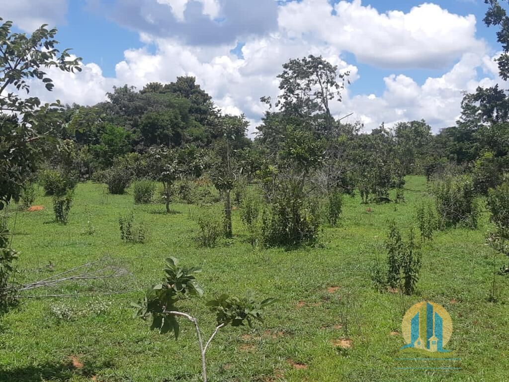 Fazenda em Paranatinga/Mato Grosso — Ref 2IBC04 — Imagem 3
