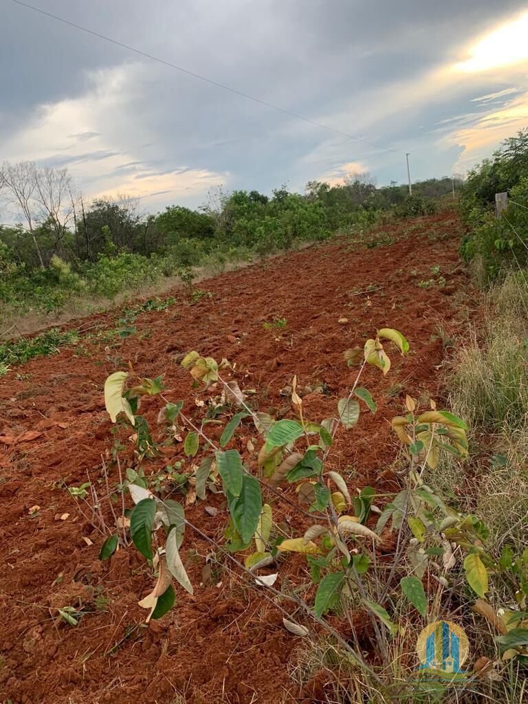 Fazenda em Paranatinga/Mato Grosso — Ref 2IBC04 — Imagem 14