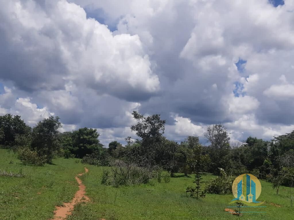 Fazenda em Paranatinga/Mato Grosso — Ref 2IBC04 — Imagem 8