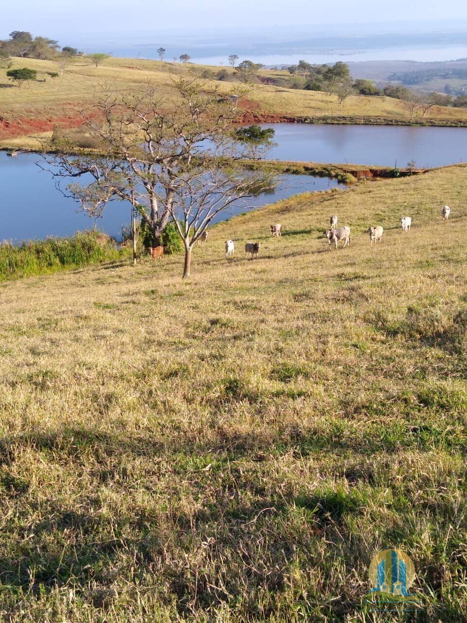 Fazenda em Mogi Guaçu/São Paulo — Ref B3S0JG — Imagem 2