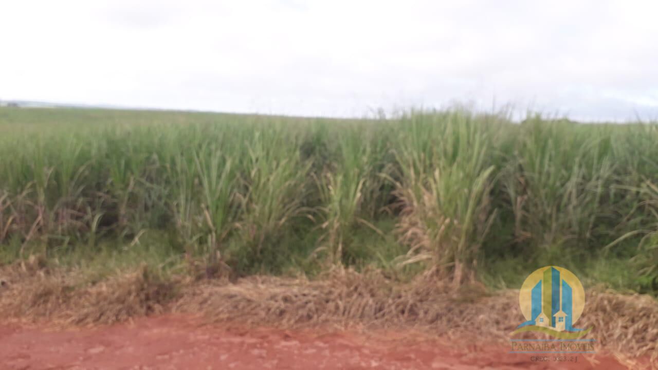 Fazenda em Mogi Guaçu/São Paulo — Ref B3S0JG — Imagem 15