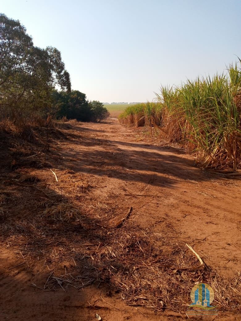 Fazenda em Mogi Guaçu/São Paulo — Ref B3S0JG — Imagem 11