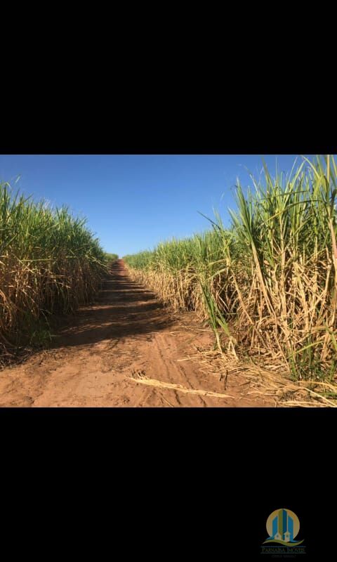 Fazenda em Mogi Guaçu/São Paulo — Ref B3S0JG — Imagem 12