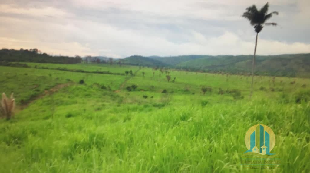 Fazenda em Cumaru do Norte/Pará — Ref 3HFJRI — Imagem 13