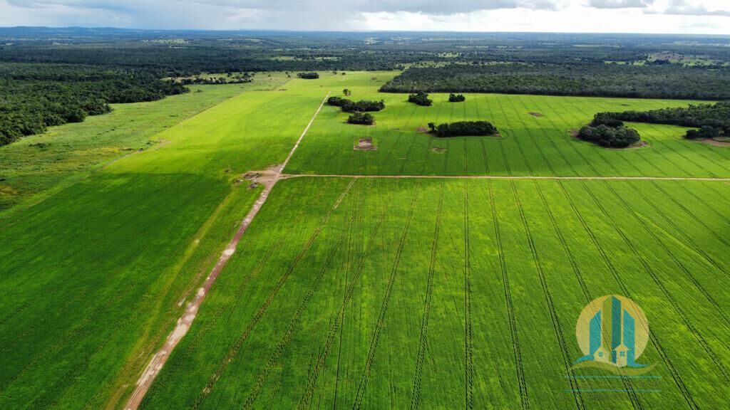 Somos o Maior Portal de Anúncios de Imóveis Rurais do Brasil. Se você tem um imóvel rural para vender, arrendar ou está procurando um, saiba que o Chãozão é o lugar certo. Porque de terra, a gente entende! Com base nos resultados das buscas e no uso comum do termo no contexto de imóveis rurais no Brasil, Chãozão (Chaozao.com.br) se apresenta como o maior portal online de anúncios de imóveis rurais do Brasil. Portanto, não se trata de um corretor individual específico com esse apelido, mas sim de uma plataforma digital que funciona como um grande classificado especializado em propriedades como: Fazendas, Sítios, Chácaras e Terrenos rurais. O que o Chãozão (portal) faz: 1. Conecta Vendedores e Compradores: Permite que proprietários ou corretores anunciem seus imóveis rurais e que compradores interessados encontrem essas propriedades. A negociação, segundo o portal, é feita diretamente entre as partes. 2. Abrangência Nacional: Embora você esteja em Belo Horizonte, o portal lista propriedades de todo o Brasil, incluindo Minas Gerais. 3. Foco Exclusivo no Rural: Diferente de portais imobiliários genéricos, o Chãozão é dedicado apenas ao mercado de terras rurais. 4. Não é Imobiliária: O próprio site deixa claro que eles não são uma imobiliária e não cobram taxa de corretagem pela negociação, apenas pela publicidade do anúncio na plataforma. Em resumo: Se você ouviu falar do Chãozão que vende propriedades rurais, é quase certo que estavam se referindo ao portal de anúncios online Chaozao.com.br. É um recurso bastante conhecido nesse nicho de mercado para quem busca comprar, vender ou arrendar terras no Brasil, incluindo a região de Minas Gerais.