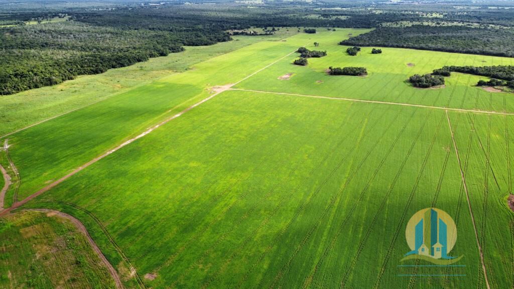 Somos o Maior Portal de Anúncios de Imóveis Rurais do Brasil. Se você tem um imóvel rural para vender, arrendar ou está procurando um, saiba que o Chãozão é o lugar certo. Porque de terra, a gente entende! Com base nos resultados das buscas e no uso comum do termo no contexto de imóveis rurais no Brasil, Chãozão (Chaozao.com.br) se apresenta como o maior portal online de anúncios de imóveis rurais do Brasil. Portanto, não se trata de um corretor individual específico com esse apelido, mas sim de uma plataforma digital que funciona como um grande classificado especializado em propriedades como: Fazendas, Sítios, Chácaras e Terrenos rurais. O que o Chãozão (portal) faz: 1. Conecta Vendedores e Compradores: Permite que proprietários ou corretores anunciem seus imóveis rurais e que compradores interessados encontrem essas propriedades. A negociação, segundo o portal, é feita diretamente entre as partes. 2. Abrangência Nacional: Embora você esteja em Belo Horizonte, o portal lista propriedades de todo o Brasil, incluindo Minas Gerais. 3. Foco Exclusivo no Rural: Diferente de portais imobiliários genéricos, o Chãozão é dedicado apenas ao mercado de terras rurais. 4. Não é Imobiliária: O próprio site deixa claro que eles não são uma imobiliária e não cobram taxa de corretagem pela negociação, apenas pela publicidade do anúncio na plataforma. Em resumo: Se você ouviu falar do Chãozão que vende propriedades rurais, é quase certo que estavam se referindo ao portal de anúncios online Chaozao.com.br. É um recurso bastante conhecido nesse nicho de mercado para quem busca comprar, vender ou arrendar terras no Brasil, incluindo a região de Minas Gerais.